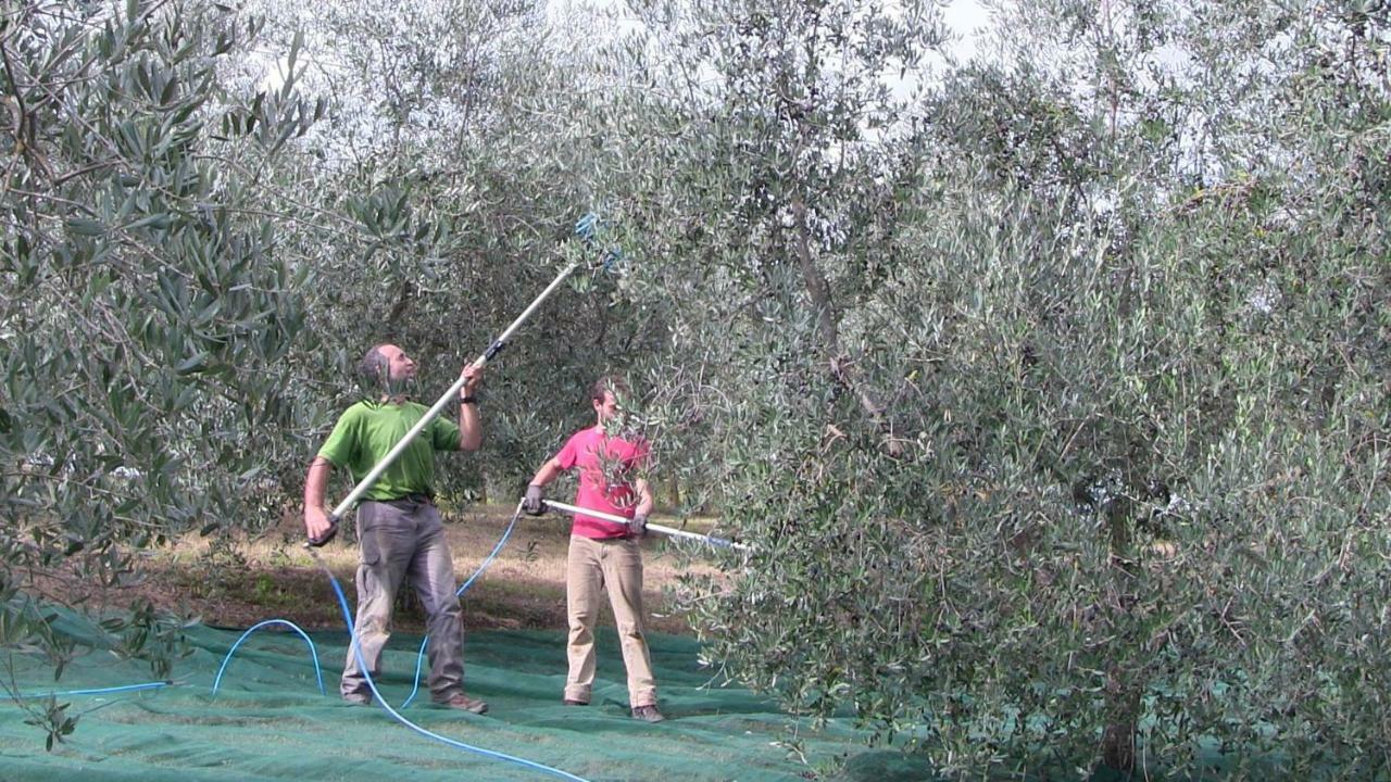 Agriturismo Frallarenza Ficulle Luaran gambar