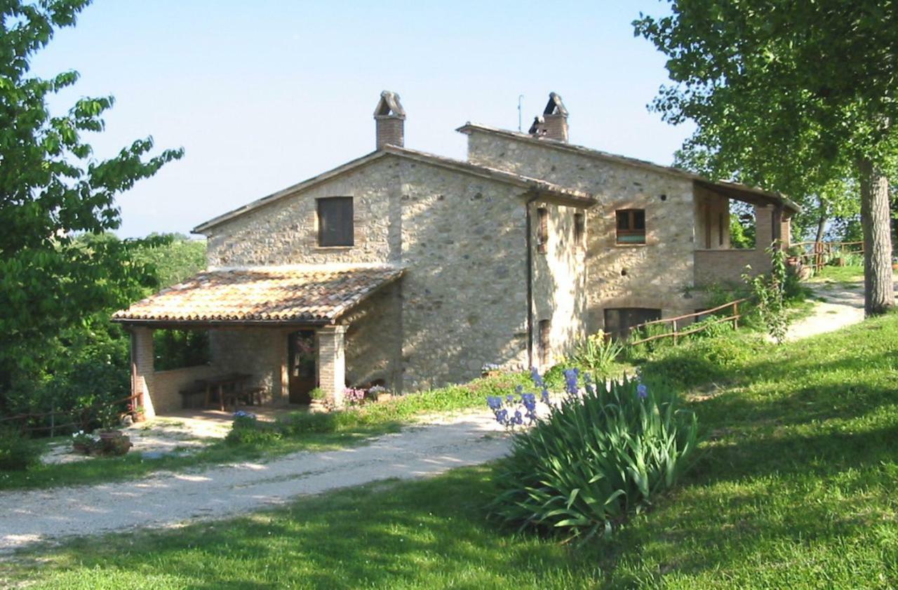 Agriturismo Frallarenza Ficulle Luaran gambar