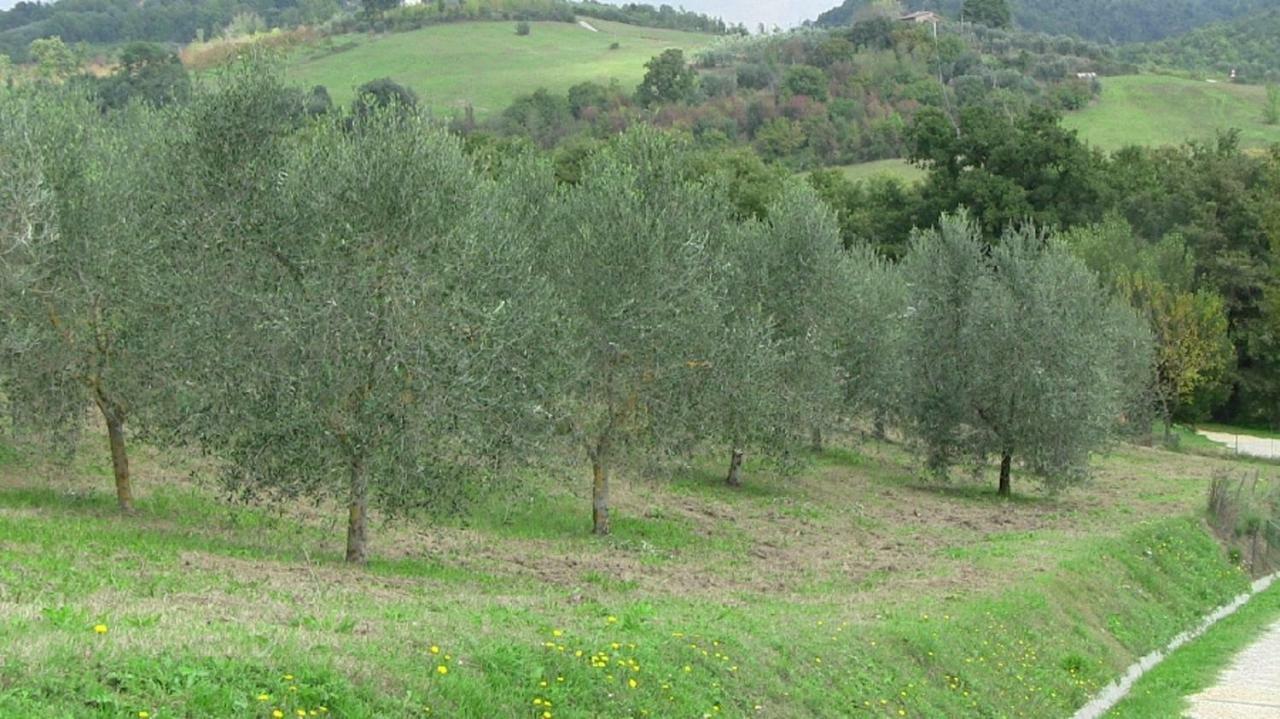 Agriturismo Frallarenza Ficulle Luaran gambar