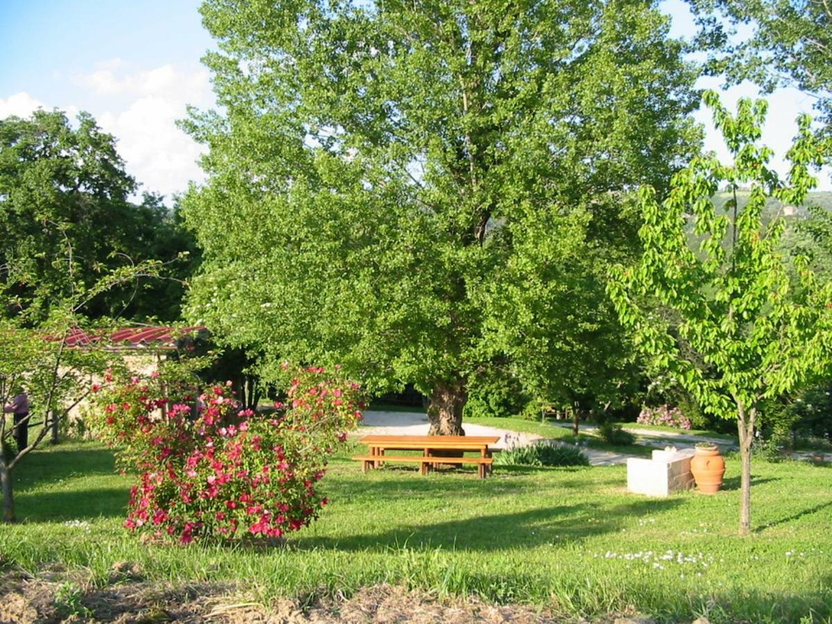 Agriturismo Frallarenza Ficulle Luaran gambar